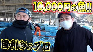 かねこからのおつかい！市場で最高の旬な魚を仕入れてもらったら"あの魚"でした！！