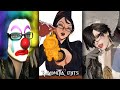 Bayonetta Edits TikTok Compilation 