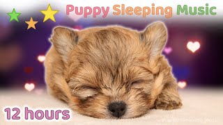 ☆ 12 HOURS ☆ Puppy Sleeping Music NO ADS  ♫ Pomeranian Puppy ☆ Calm & Gentle ☆ Relaxing dog music ☆