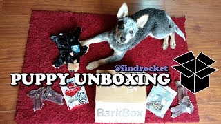 Rocket's Holiday Adventure with Lodge Life BarkBox by FindRocket 121 views 4 years ago 2 minutes, 48 seconds