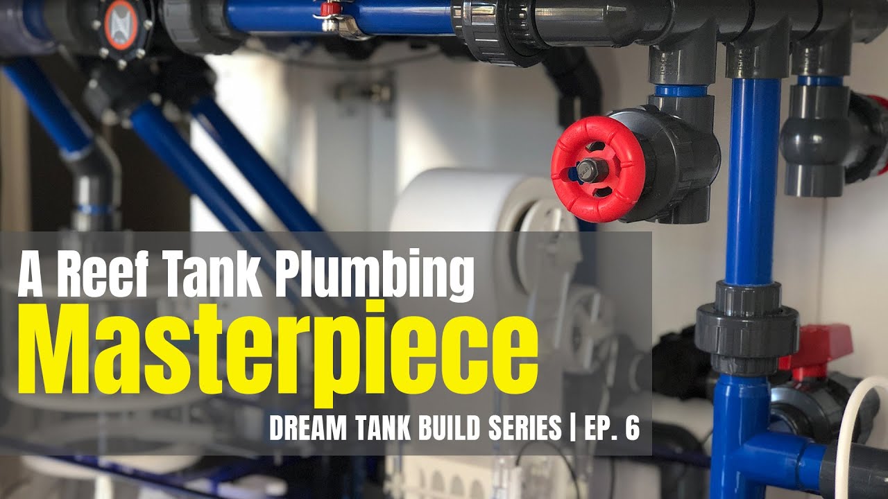 Dream Reef Tank Build Series | Ep. 6 | How I Plumbed My Reef Tank