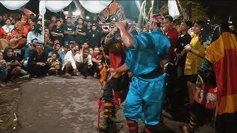 tari kucing-kucingan ||seni barong muncul budoyo 🔴 live Beran lor