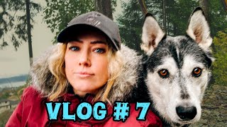 Vanlife | bomb cyclone storm | Island life with my husky dog 🚐 🌪️🐕