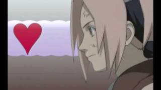 Sakuras Name Is Love