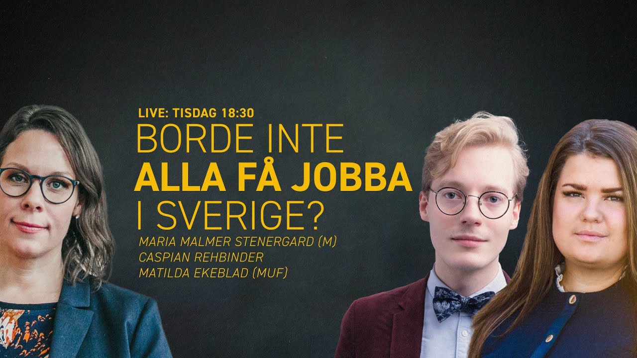 Borde inte alla få jobba i Sverige?