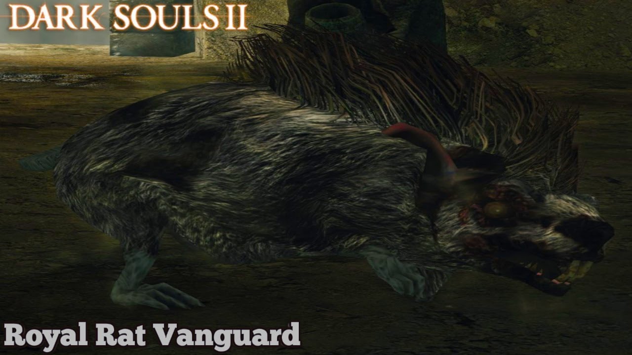 Dark Souls 2 boss Review - The Royal Rat Vanguard