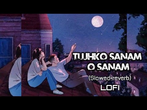 Tujhko Sanam oo Sanam lofi song  lofimusic  lovesong