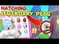 Hatching Legendary Pets in Roblox Adopt Me! Finding LUCK in the NEW Sky Castle 🏰