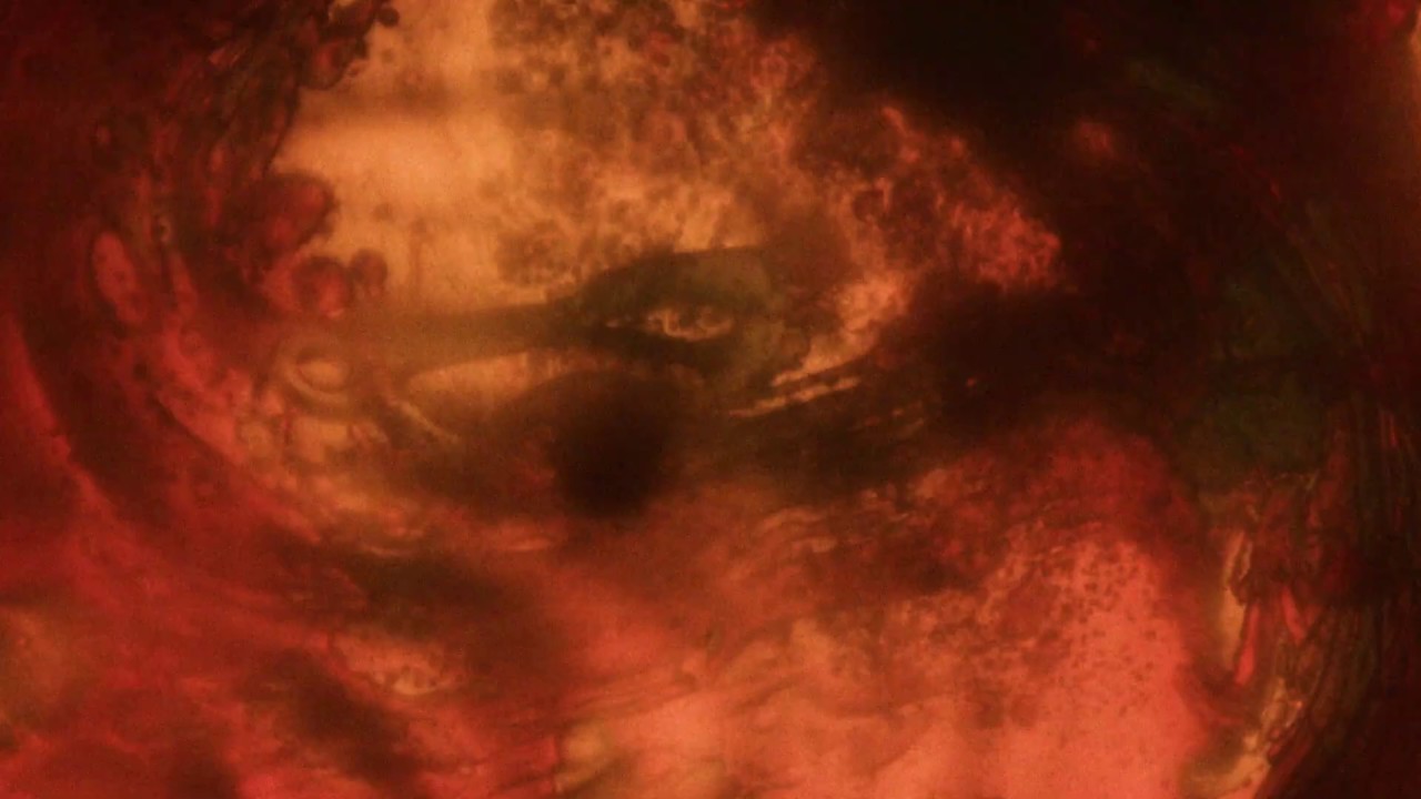 Illiterate Light - Here Lie The Bones Of My Favorite Car [Official Audio]