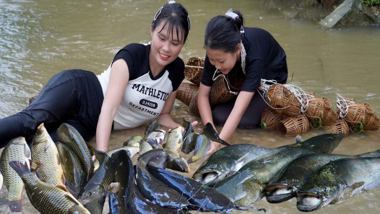 How to trap fish with self-woven bamboo baskets, Harvest a lot of ...