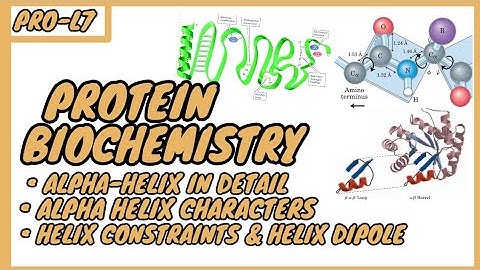Alpha-Helix | Secondary structure | Protein Biochemistry | Pro-L7 | in Urdu/Hindi