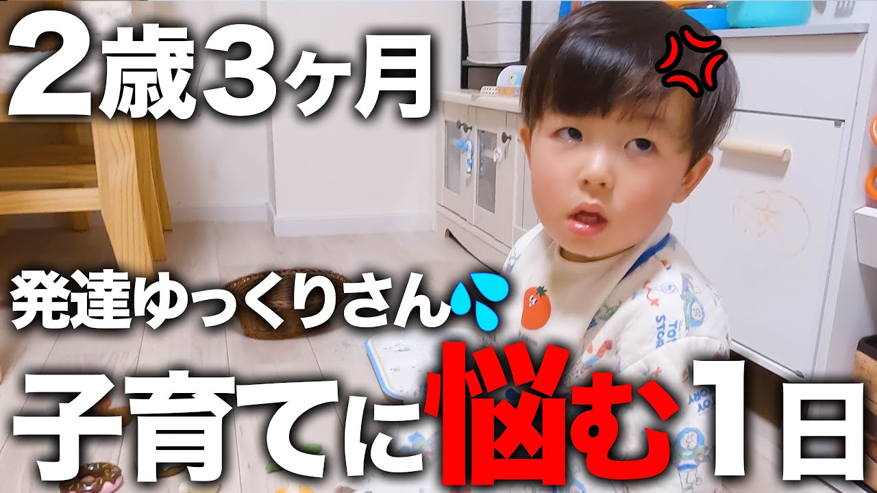 【喋らない】2歳3ヶ月発達ゆっくり男の子と育児に悩む共働き夫婦の1日💦【療育】