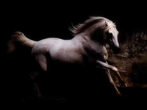 يا روايح الزمن الجميل هدى عمار