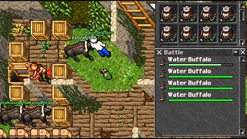 Tibia Secura - Killing botters