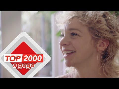 Krezip | Het verhaal achter de doorbraak tijdens Pinkpop 2000