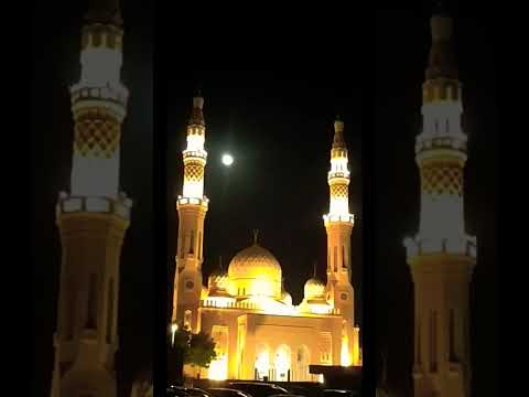 Beautiful Jumeirah Mosque. #shorts #youtube #subhanAllah #beautiful