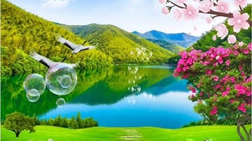 سورة هود 🌴 بصوت الشيخ ياسر الدوسري 🌴 تلاوة هادئة ورائعة جداً 💛🧡 بدون حقوق