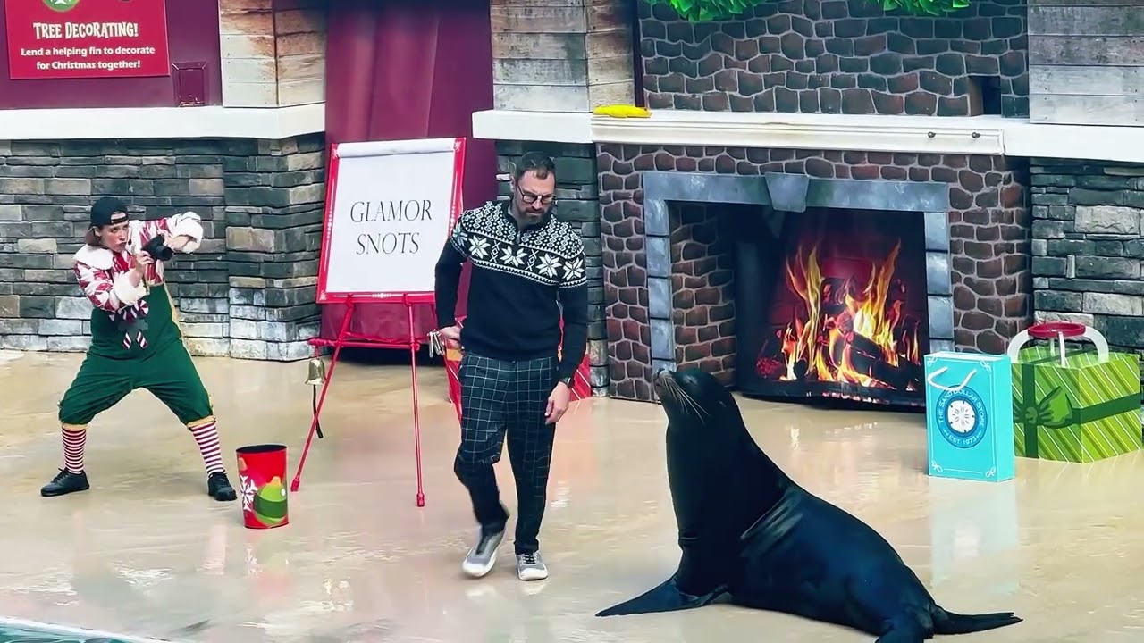 SeaWorld Orlando | Sea Lion Show | Christmas Special | You’ll Love!