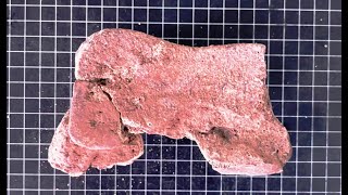 Elefante del siglo IV a.C. en Córdoba : hallazgo de restos arqueológicos