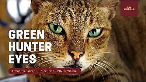 Green Hunter Eyes & 20/20 Vision | Powerful Subliminal