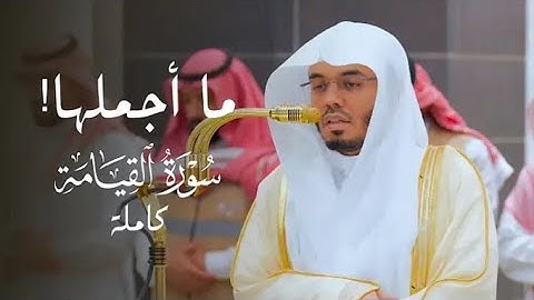 الشيخ ياسر الدوسري - سورة القيامة - صلاة العشاء 19 جمادى الآخرة 1447هـ