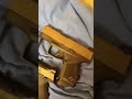 micro 9's shield plus Taurus gx4