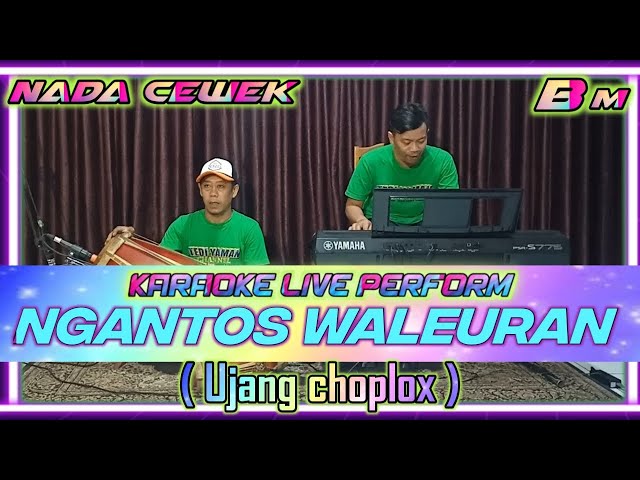 Ngantos waleuran-Ujang choplox ada karaoke nada cewek Bm class=