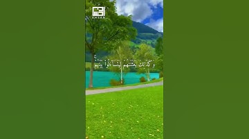 #هزاع_البلوشي  ما تسير من سورة الكهف الآيات 18-19