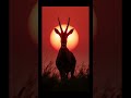 Safari4 - #AfroHouse #SafariVibes #chillout House adventures with animals