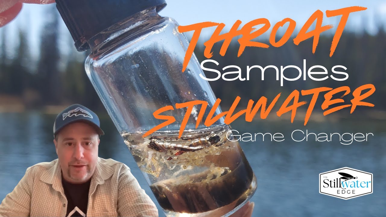 "Throat Sampling: The Game-Changer for Unlocking Trout Feeding Patterns"