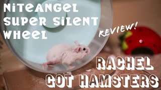 Niteangel Super Silent Wheel Review UPDATED // a Great Wheel for Any Hamster!