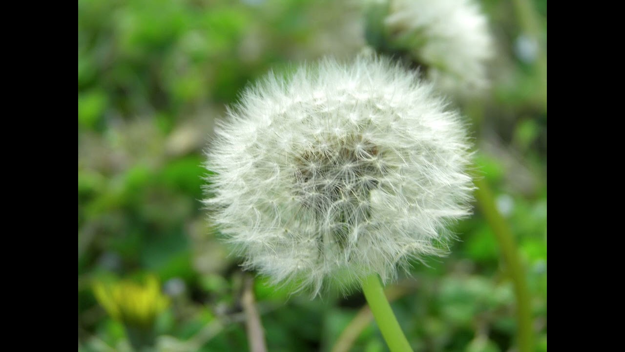 Photography Final Project