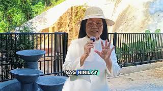 Celebrity Contemplative Pause by Sr. Eppie Brasil, OP -March 1, 2026 Profile