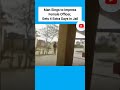 Man Sings to Impress Female Officer, Gets 4 Extra Days in Jail #shorts