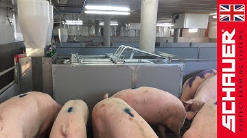 Compident Simultan Feeding System - Product Video