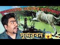 Sundarban vlog part 2 sundarban tour 2024 sundarbani nsanebap