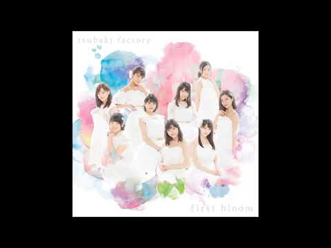 Tsubaki Factory - Teion Yakedo