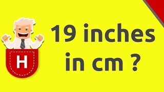 19 inches in cm Profile