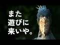 那須どうぶつ王国　2026TVCM　春