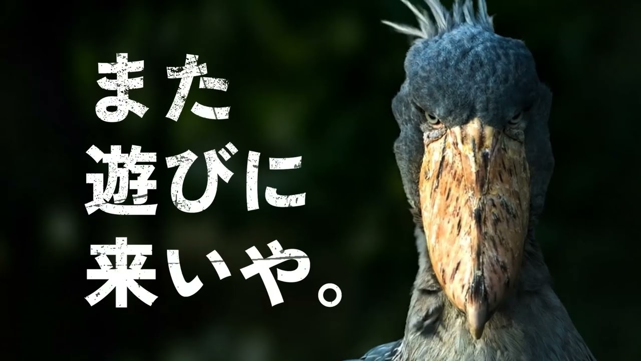 那須どうぶつ王国　2026TVCM　春