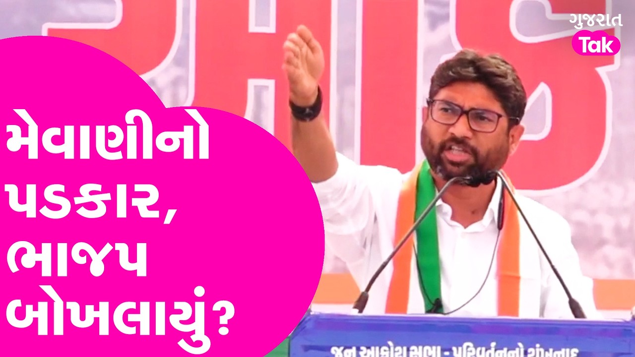 Jignesh Mevani એ ભાજપના ચોપડા ખોલ્યા