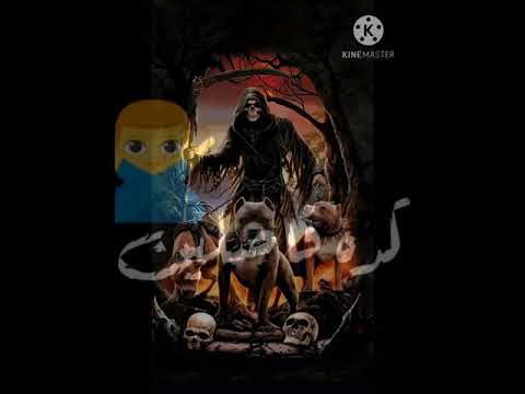 افضل حالات واتس قاعدين يلا وشاربين