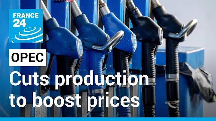OPEC+ agrees to cut oil production to boost prices • FRANCE 24 English