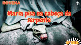 Sexto dia - Novena Maria pisa na cabeça da serpente