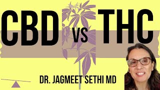 THC vs CBD. What is the Difference in Cannabis? Doctor Explains About Medical Cannabis.