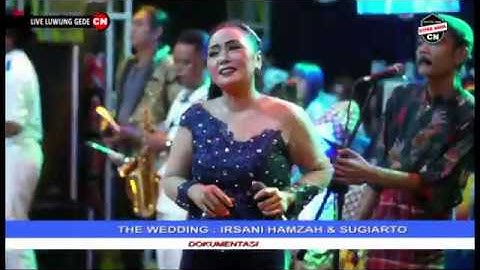 CINTA PELARIAN || BUNDA MUMUN || CITRA NADA LIVE LUWUNGGEDE || BLOK MASJID KE BARAT