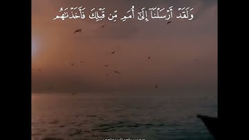 القرآن الكريم= تلاوة خاشعة من سورة الأنعام=صهيب داود السبعاوي