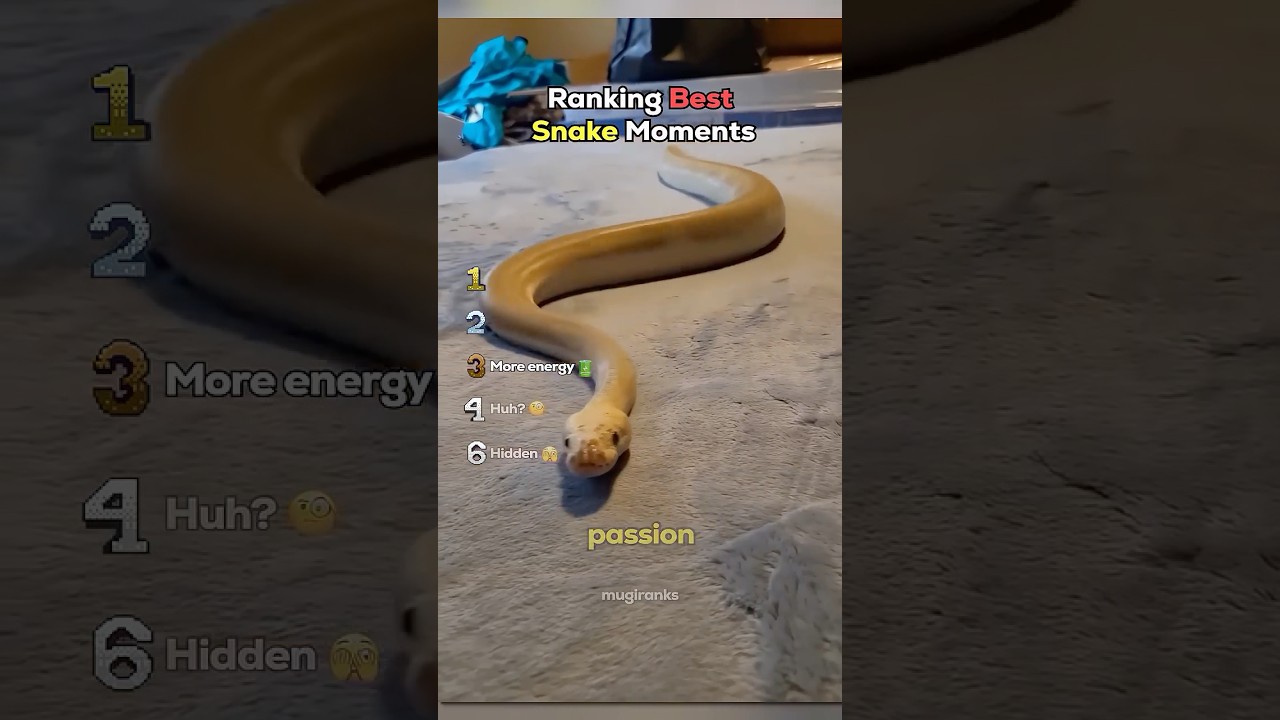 ranking best snake moments #usa