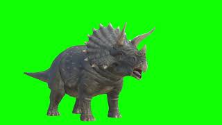 Dinosaur Green Screen