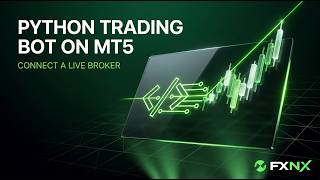 Python Trading Bot on MT5: Connect a Live Broker